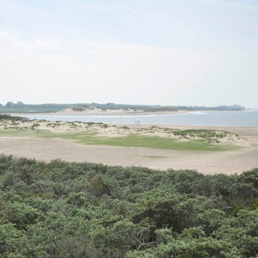 cadzand 10