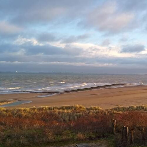 cadzand 12